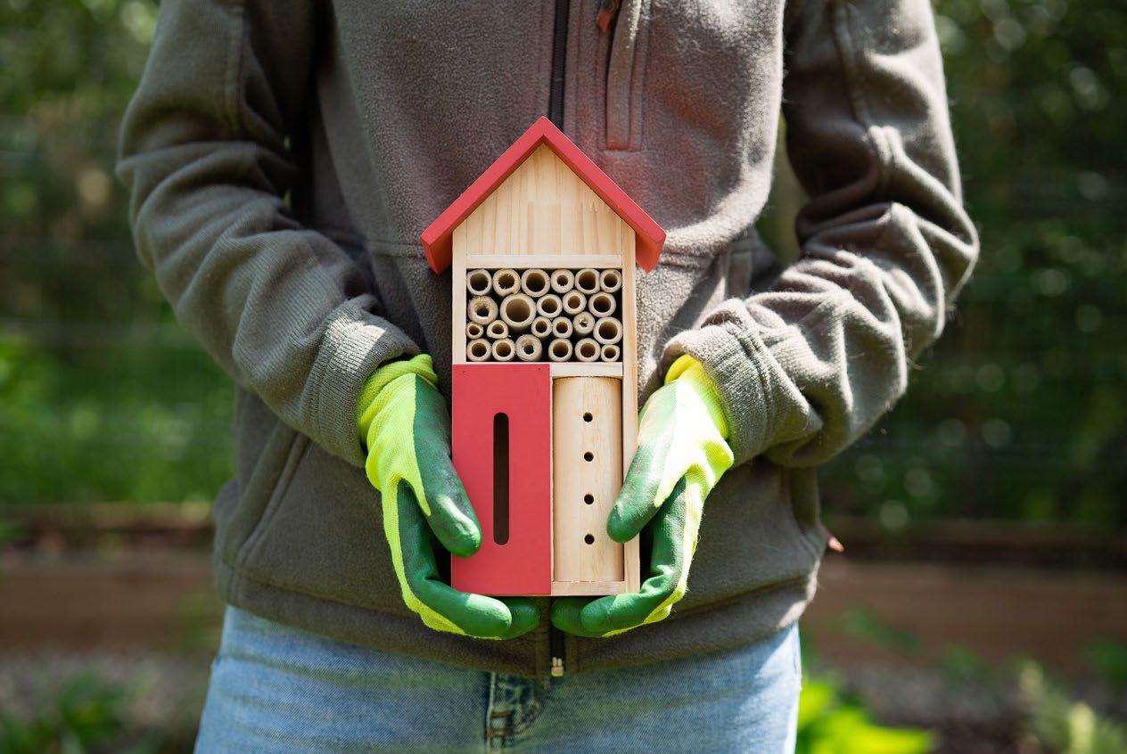 Building a bee hotel