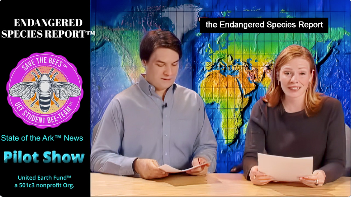 Student anchors on the Endangered Species Report pilot show, shot at the University of Michigan